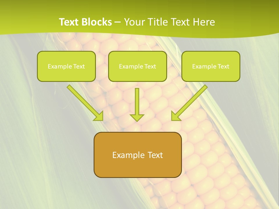 Corn Cob Between Green Leaves PowerPoint Template