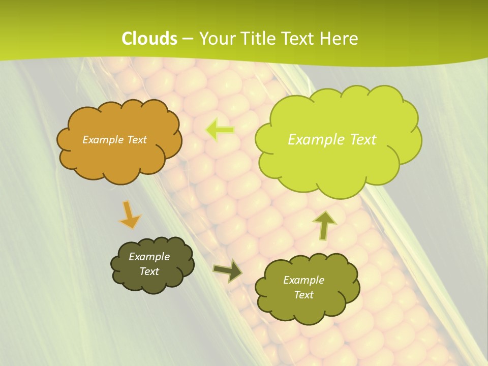 Corn Cob Between Green Leaves PowerPoint Template