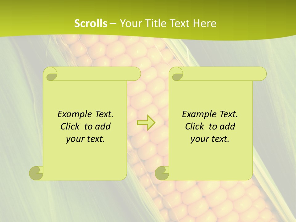 Corn Cob Between Green Leaves PowerPoint Template