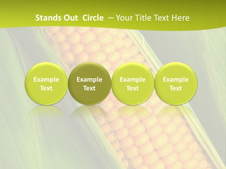 Corn Cob Between Green Leaves PowerPoint Template