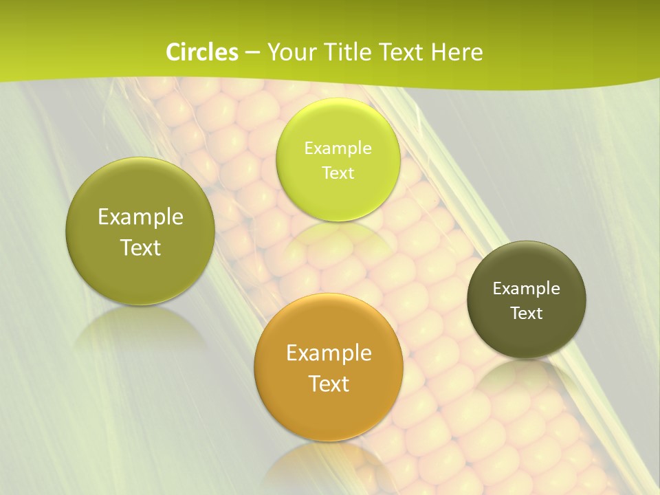 Corn Cob Between Green Leaves PowerPoint Template