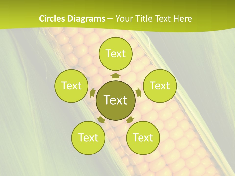 Corn Cob Between Green Leaves PowerPoint Template