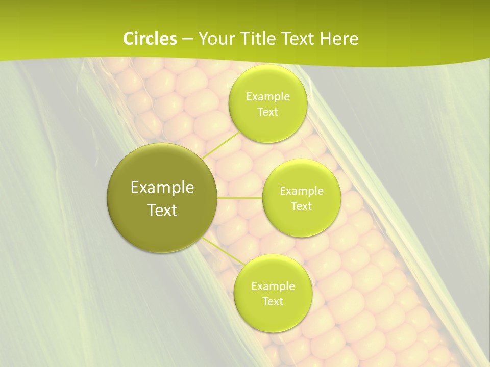 Corn Cob Between Green Leaves PowerPoint Template