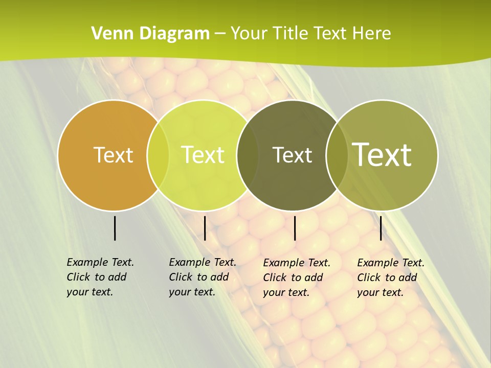 Corn Cob Between Green Leaves PowerPoint Template