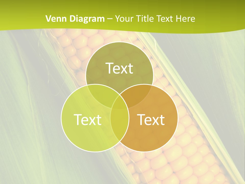 Corn Cob Between Green Leaves PowerPoint Template