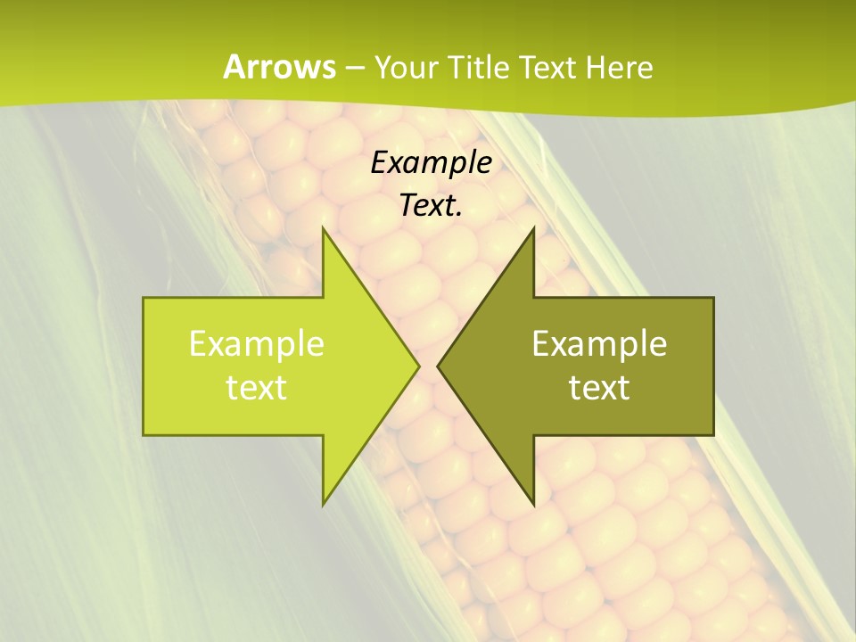 Corn Cob Between Green Leaves PowerPoint Template