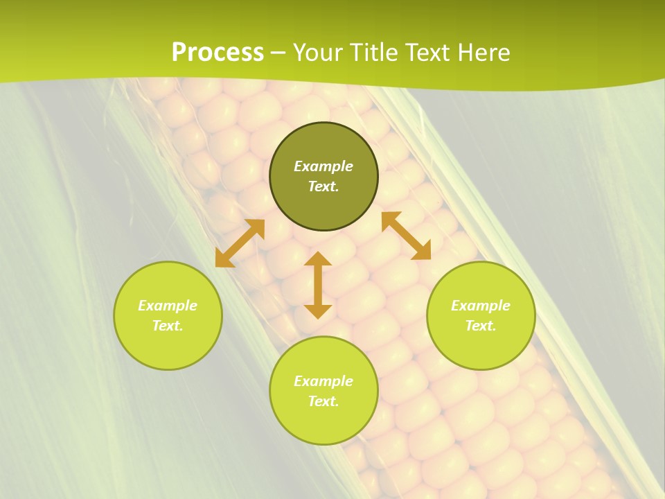 Corn Cob Between Green Leaves PowerPoint Template