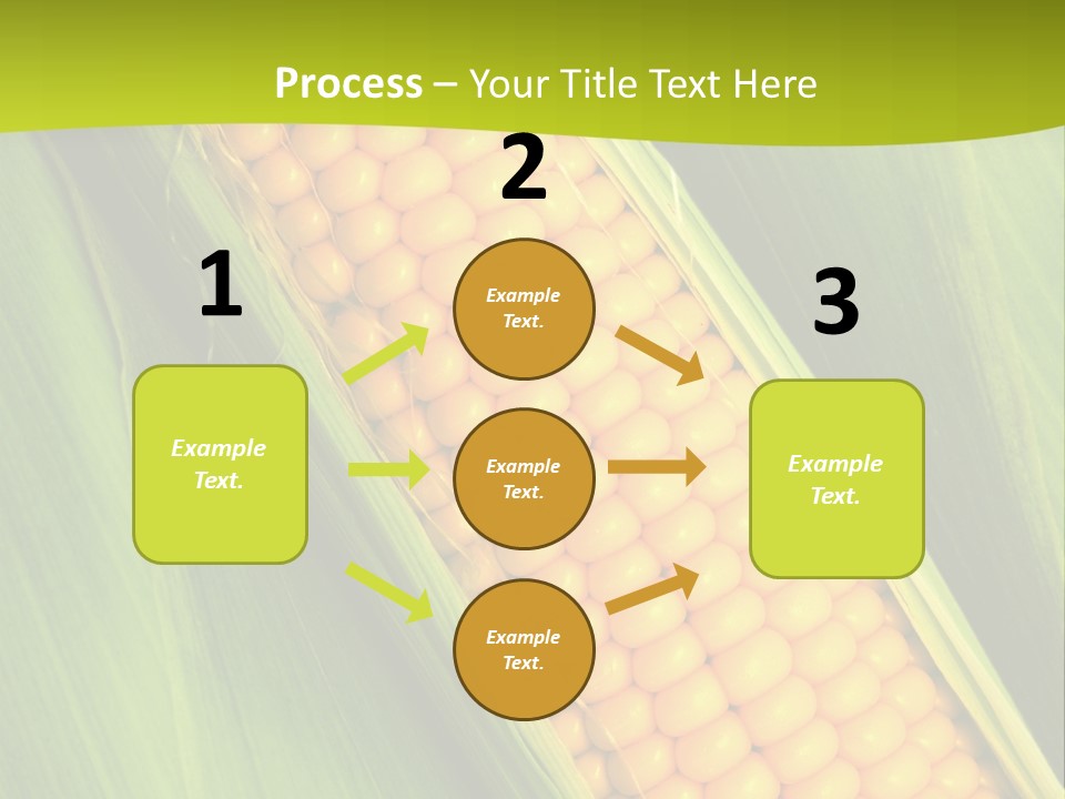 Corn Cob Between Green Leaves PowerPoint Template