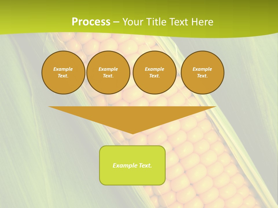 Corn Cob Between Green Leaves PowerPoint Template