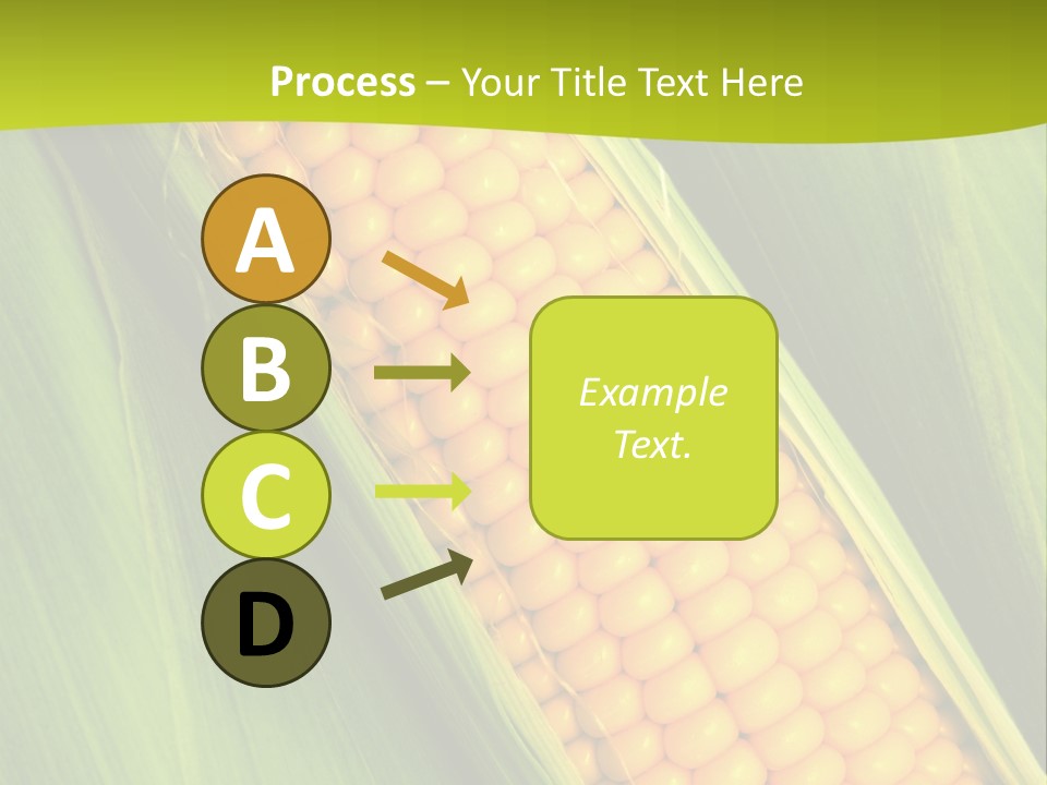 Corn Cob Between Green Leaves PowerPoint Template