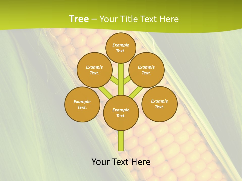 Corn Cob Between Green Leaves PowerPoint Template
