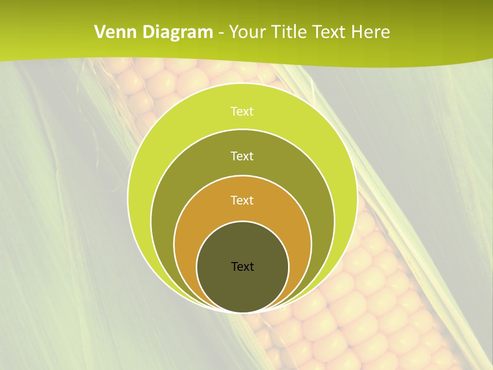 Corn Cob Between Green Leaves PowerPoint Template
