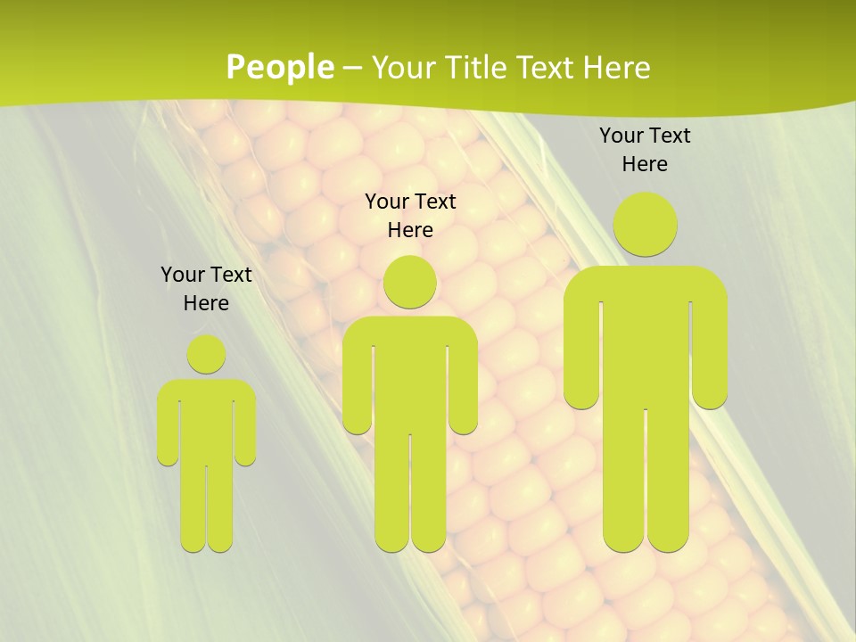 Corn Cob Between Green Leaves PowerPoint Template