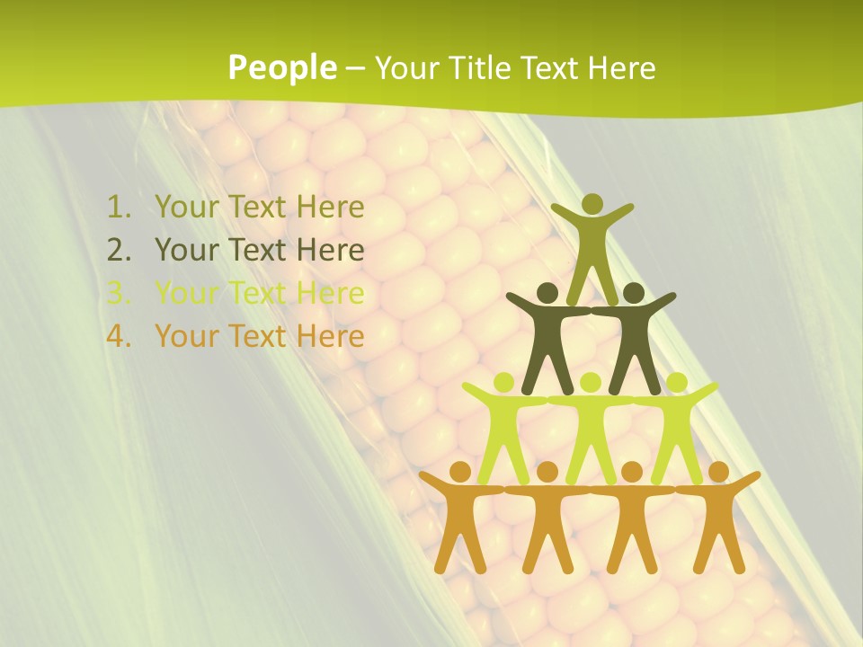 Corn Cob Between Green Leaves PowerPoint Template