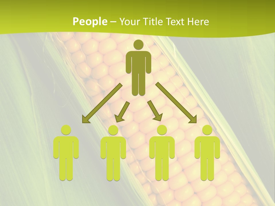 Corn Cob Between Green Leaves PowerPoint Template