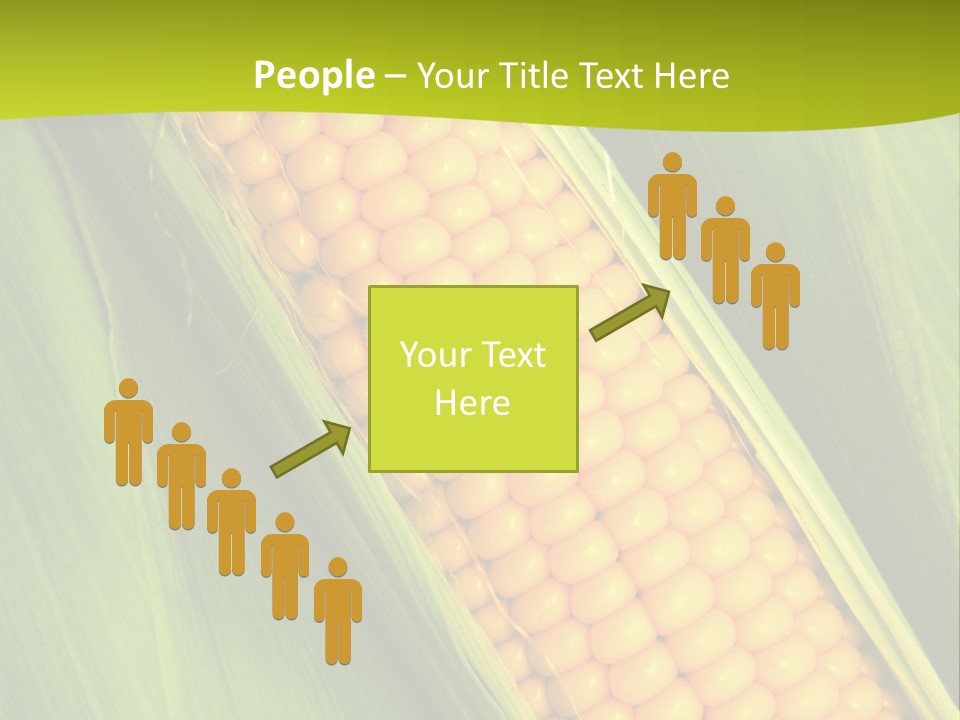 Corn Cob Between Green Leaves PowerPoint Template