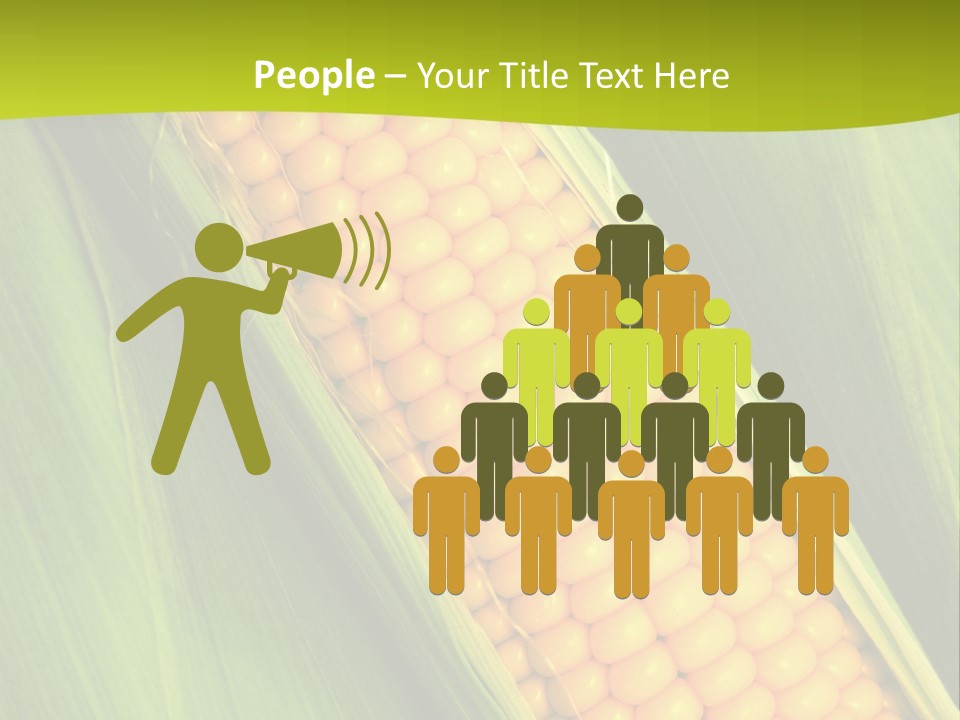 Corn Cob Between Green Leaves PowerPoint Template