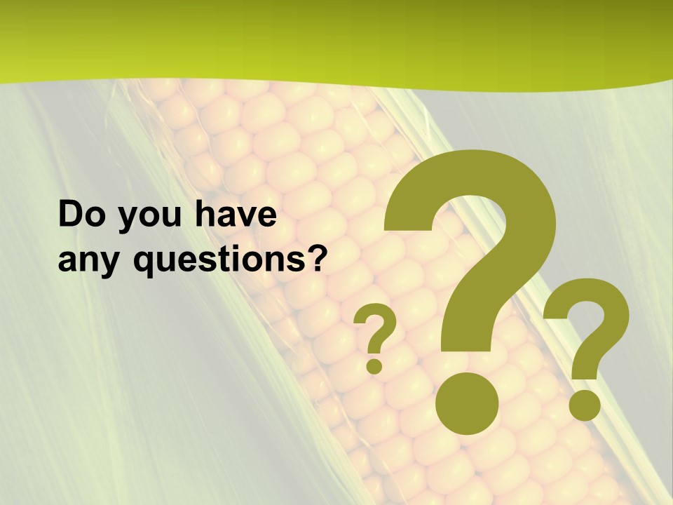 Corn Cob Between Green Leaves PowerPoint Template