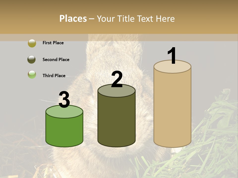 A Rabbit Is Eating Grass In The Dark PowerPoint Template