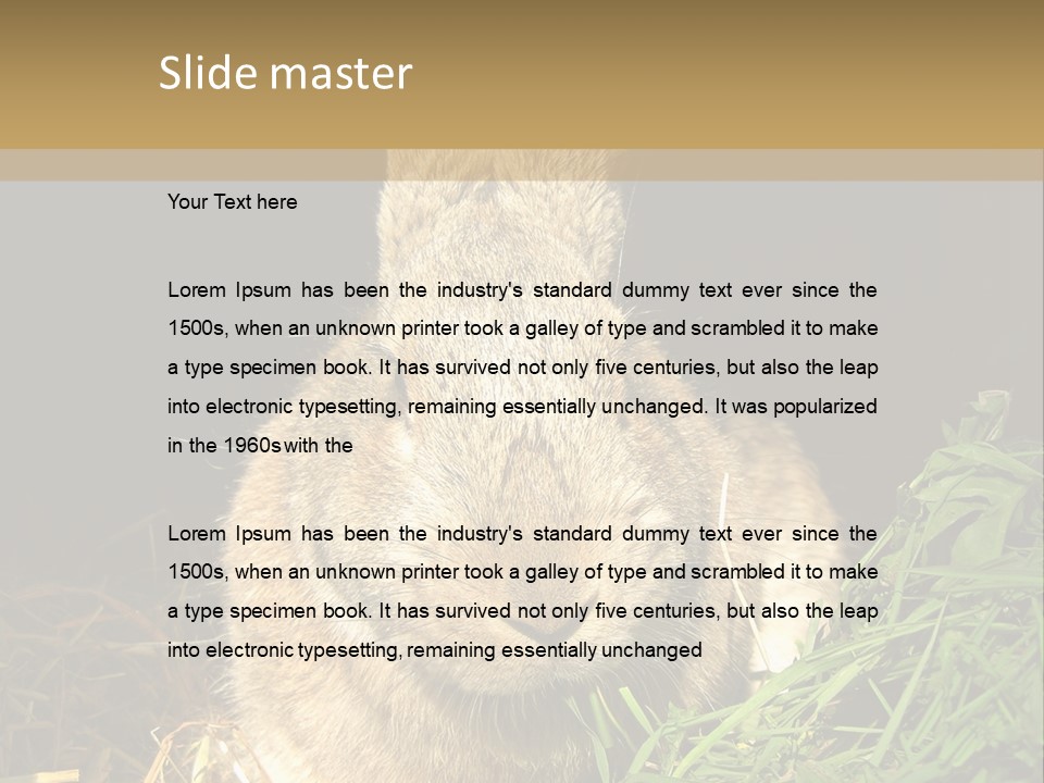 A Rabbit Is Eating Grass In The Dark PowerPoint Template