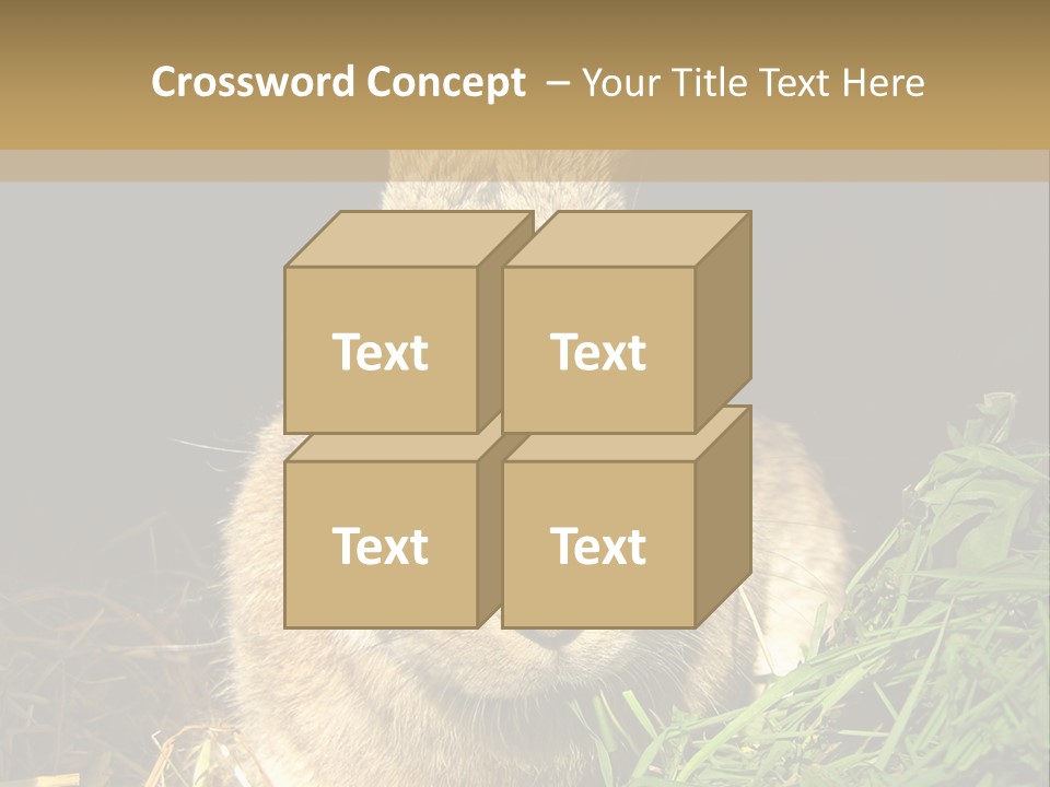 A Rabbit Is Eating Grass In The Dark PowerPoint Template