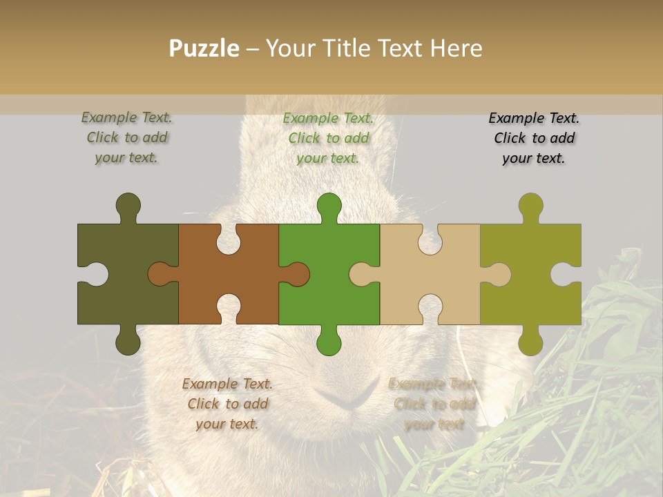 A Rabbit Is Eating Grass In The Dark PowerPoint Template