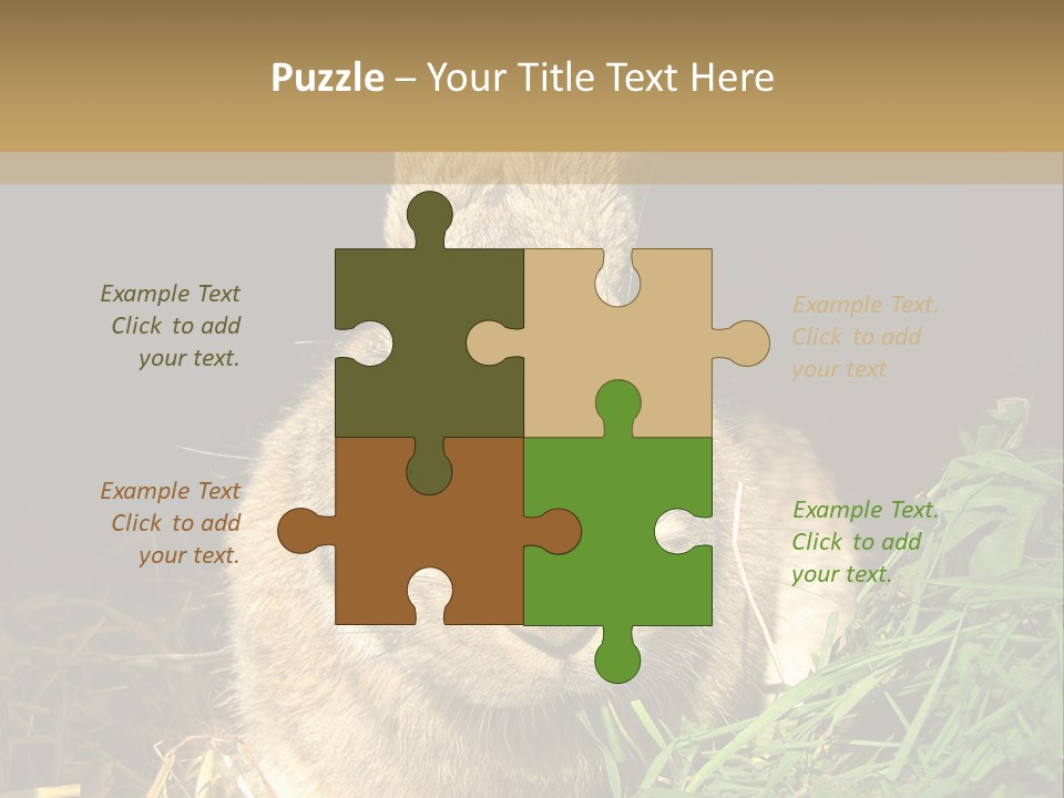 A Rabbit Is Eating Grass In The Dark PowerPoint Template