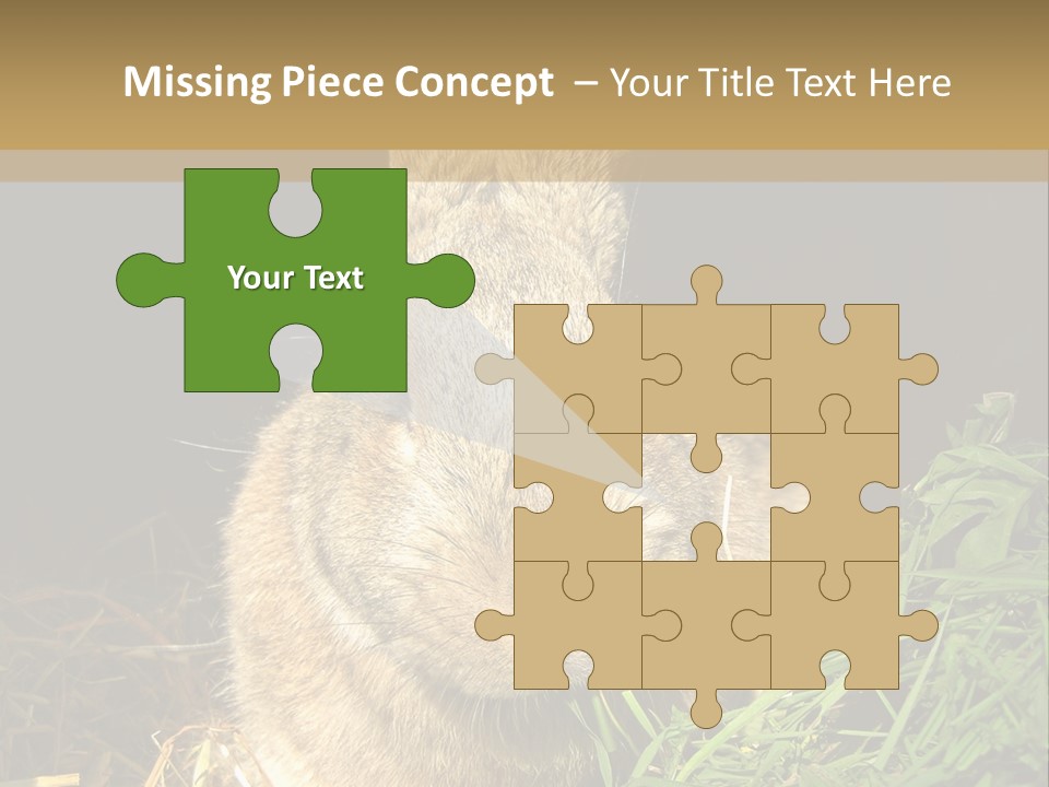 A Rabbit Is Eating Grass In The Dark PowerPoint Template