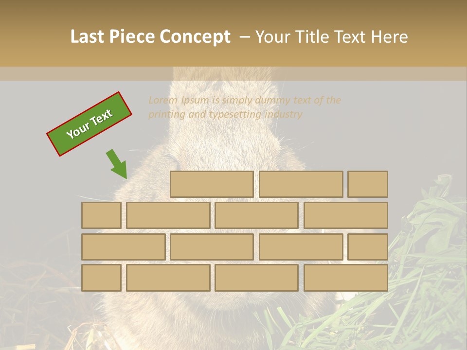 A Rabbit Is Eating Grass In The Dark PowerPoint Template