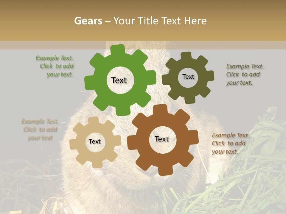 A Rabbit Is Eating Grass In The Dark PowerPoint Template