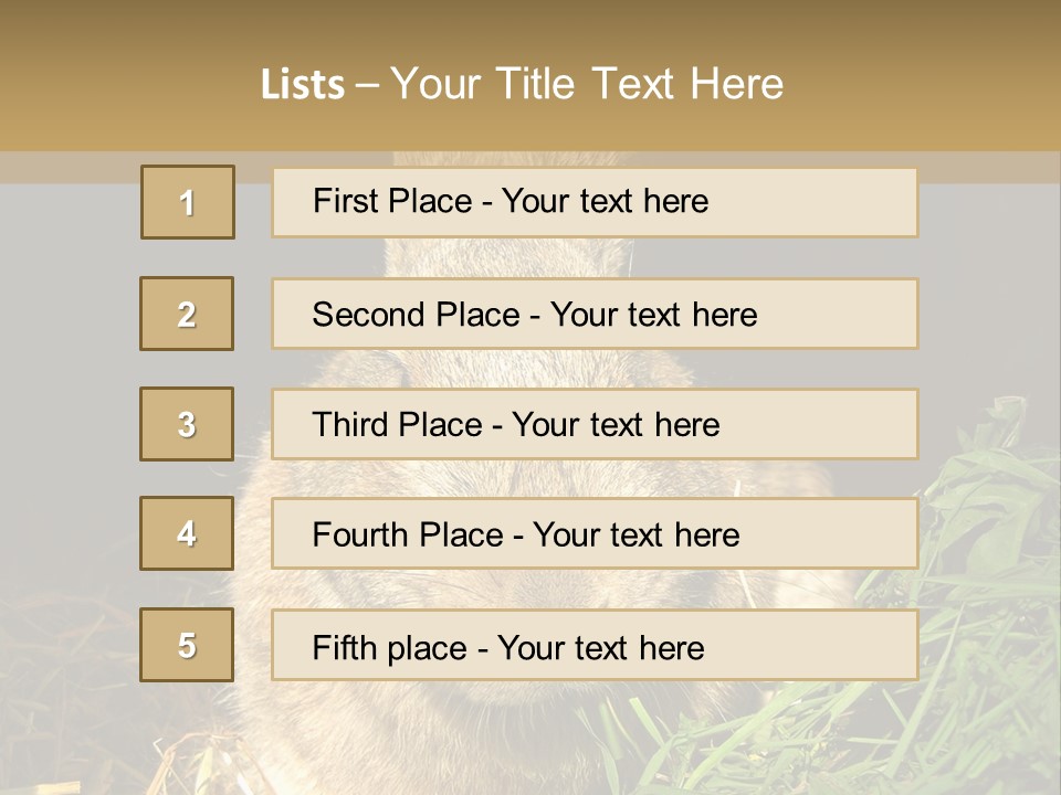 A Rabbit Is Eating Grass In The Dark PowerPoint Template