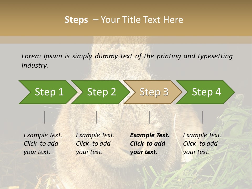 A Rabbit Is Eating Grass In The Dark PowerPoint Template