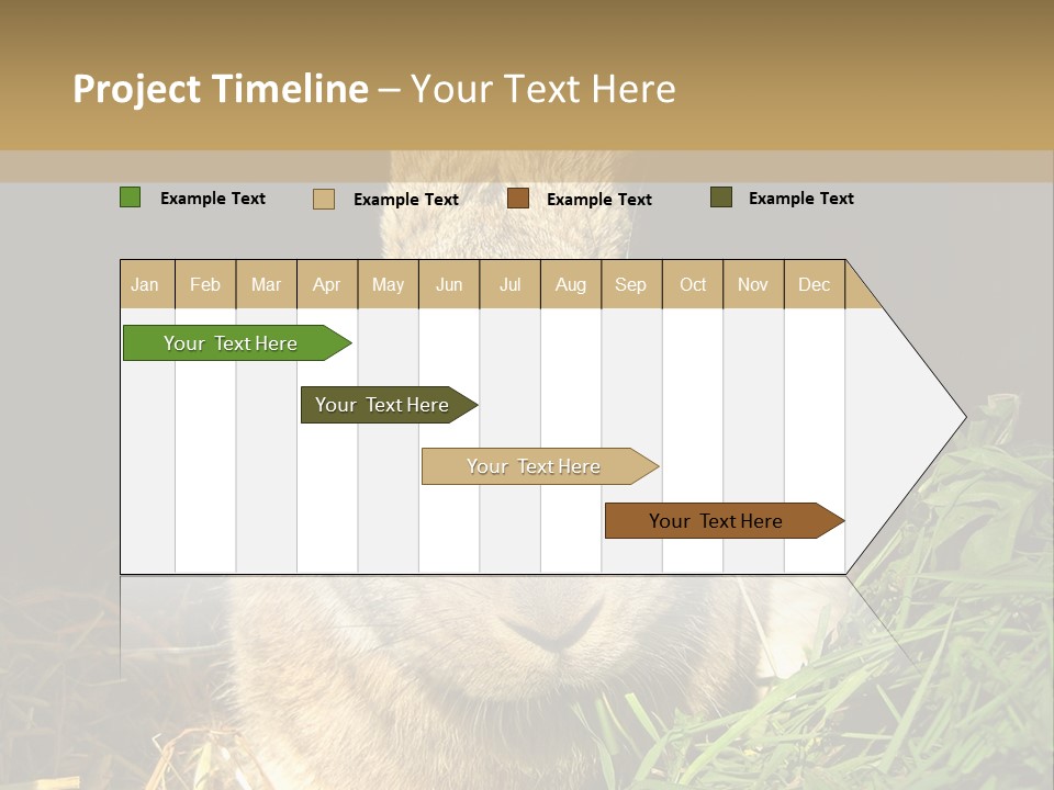 A Rabbit Is Eating Grass In The Dark PowerPoint Template