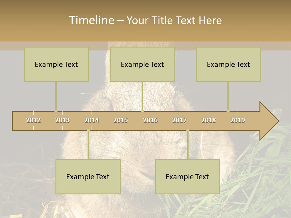 A Rabbit Is Eating Grass In The Dark PowerPoint Template