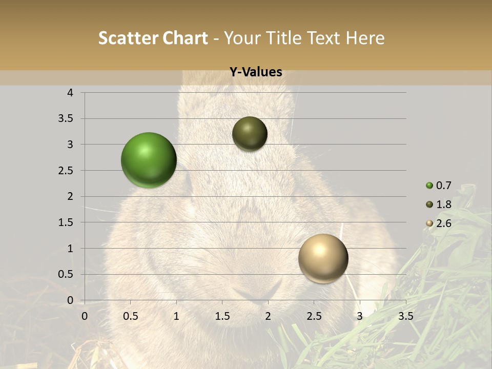 A Rabbit Is Eating Grass In The Dark PowerPoint Template