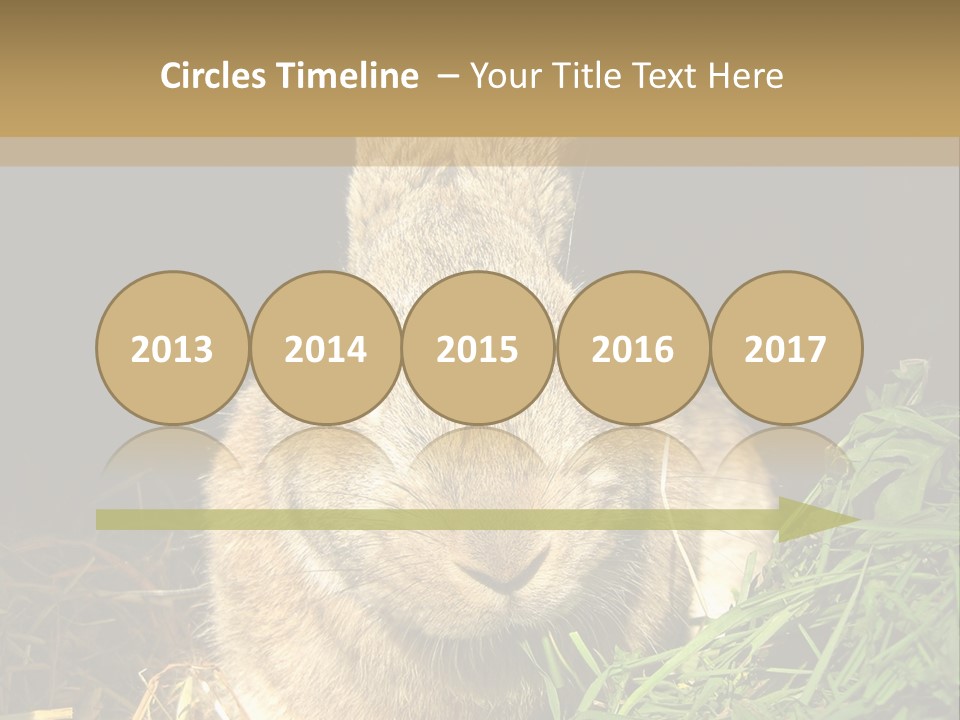 A Rabbit Is Eating Grass In The Dark PowerPoint Template