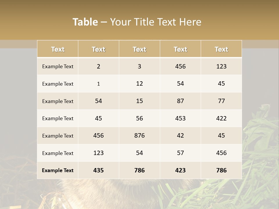 A Rabbit Is Eating Grass In The Dark PowerPoint Template
