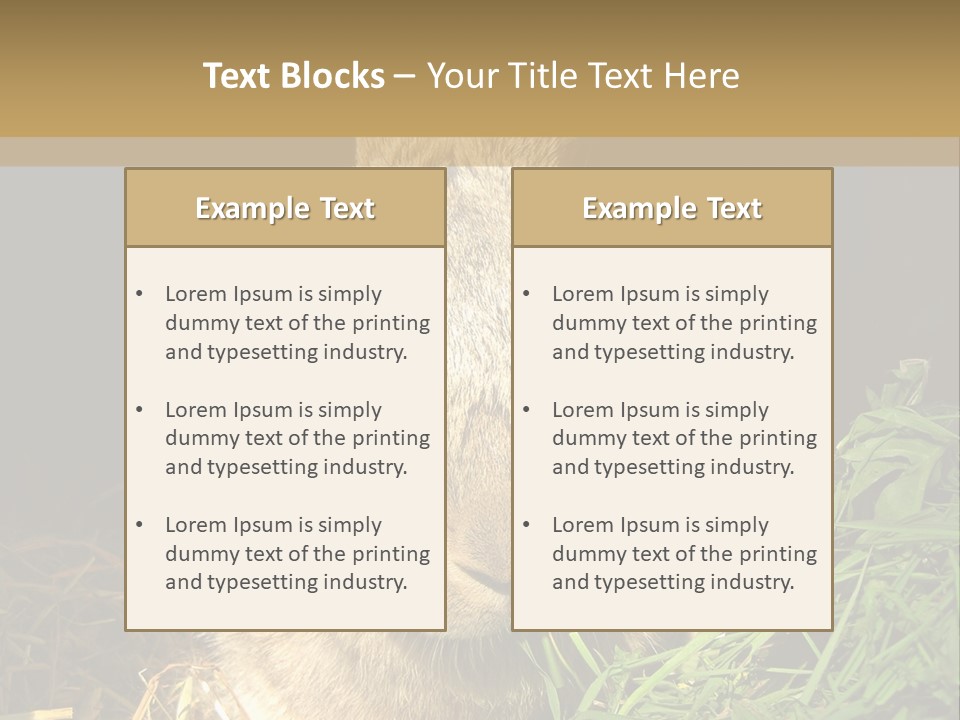 A Rabbit Is Eating Grass In The Dark PowerPoint Template