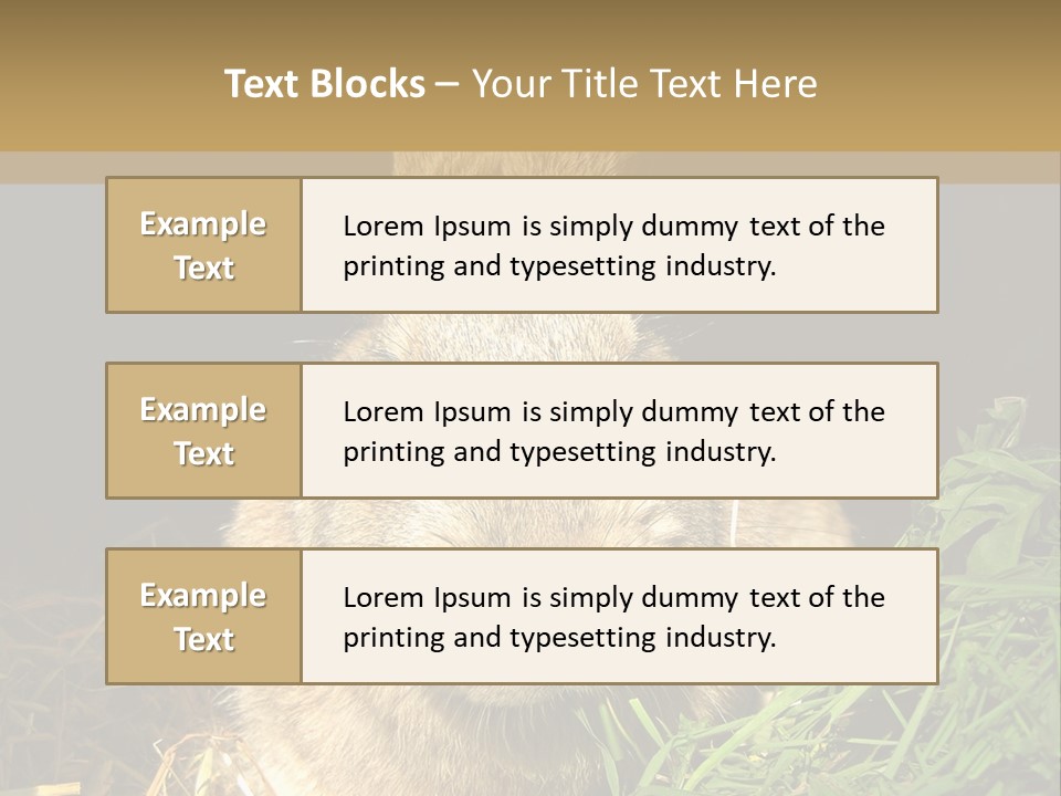 A Rabbit Is Eating Grass In The Dark PowerPoint Template