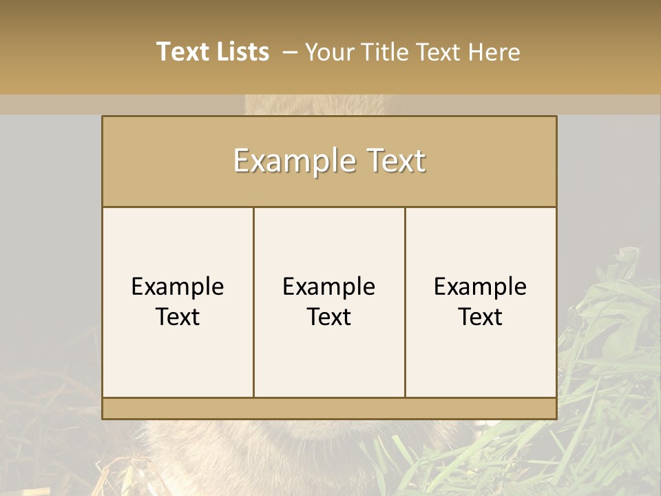 A Rabbit Is Eating Grass In The Dark PowerPoint Template