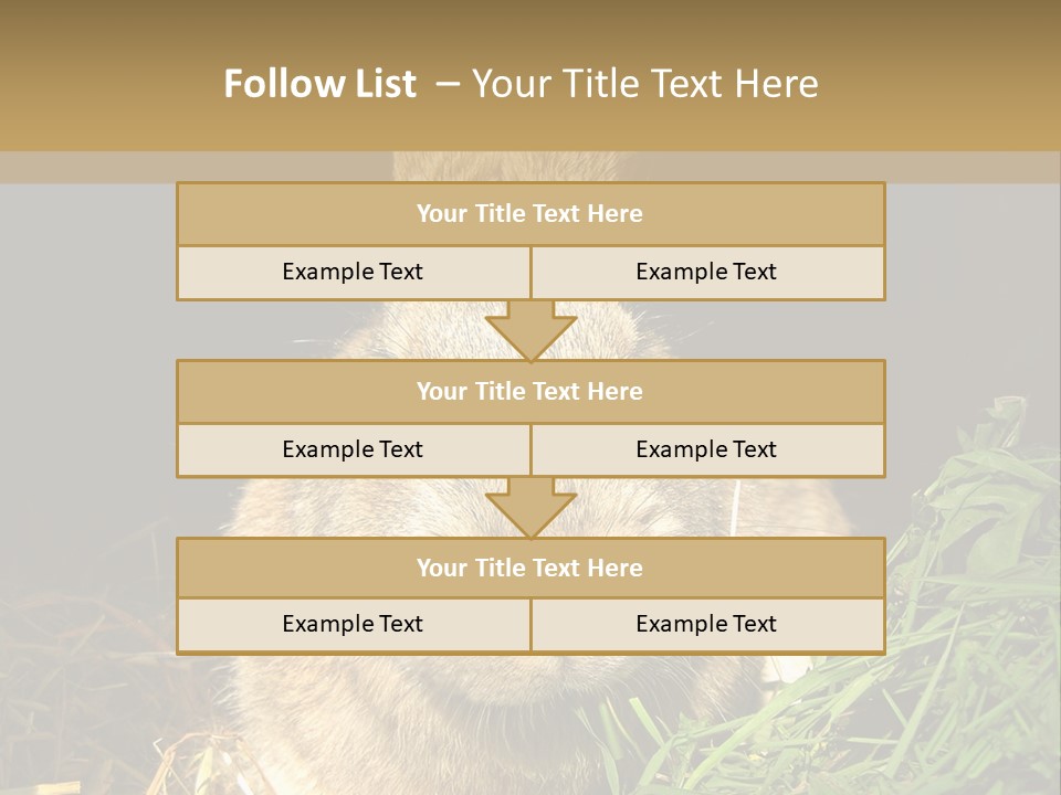 A Rabbit Is Eating Grass In The Dark PowerPoint Template