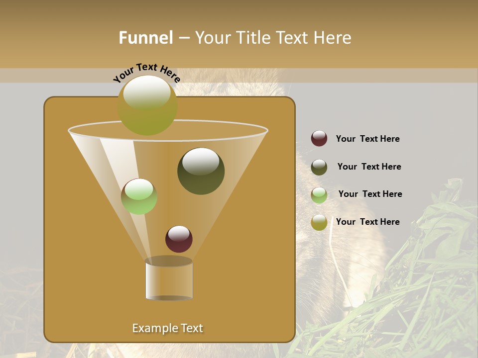 A Rabbit Is Eating Grass In The Dark PowerPoint Template