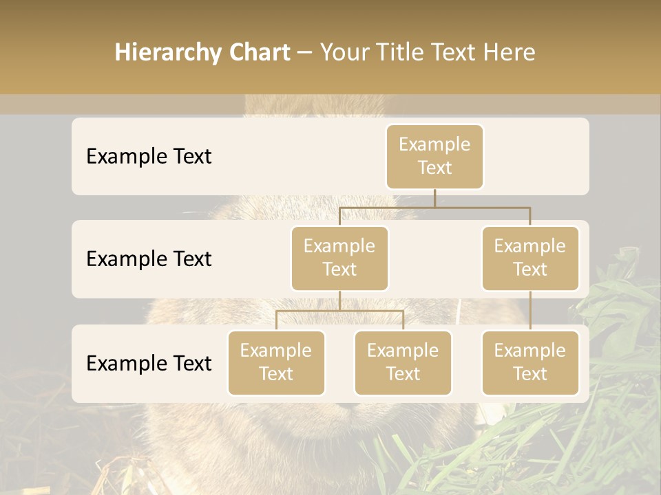 A Rabbit Is Eating Grass In The Dark PowerPoint Template