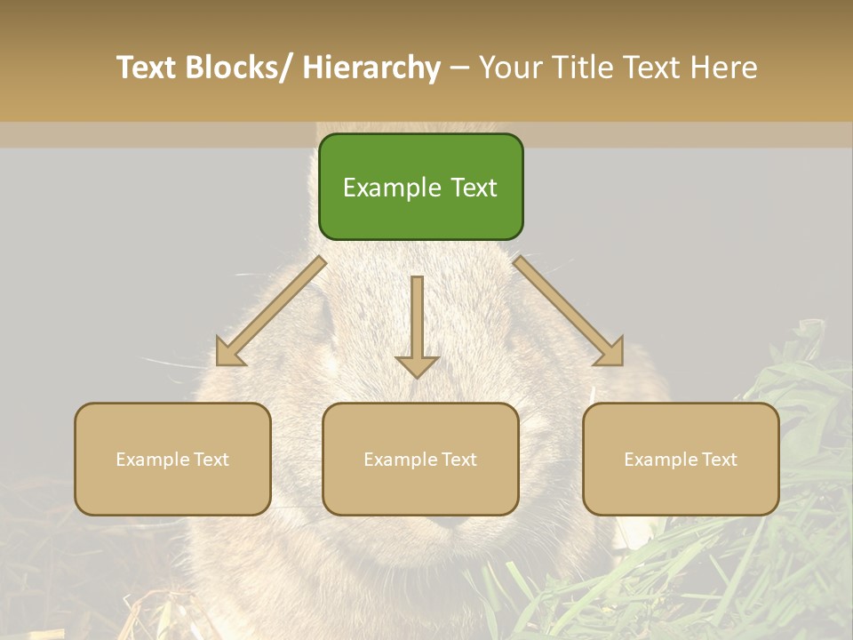 A Rabbit Is Eating Grass In The Dark PowerPoint Template
