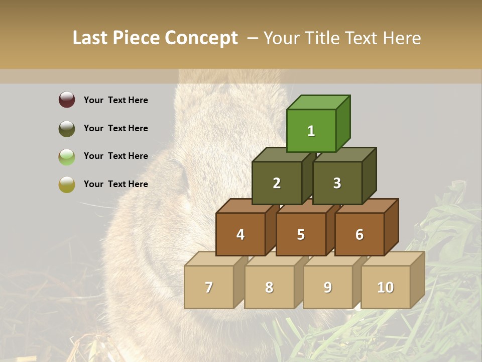 A Rabbit Is Eating Grass In The Dark PowerPoint Template