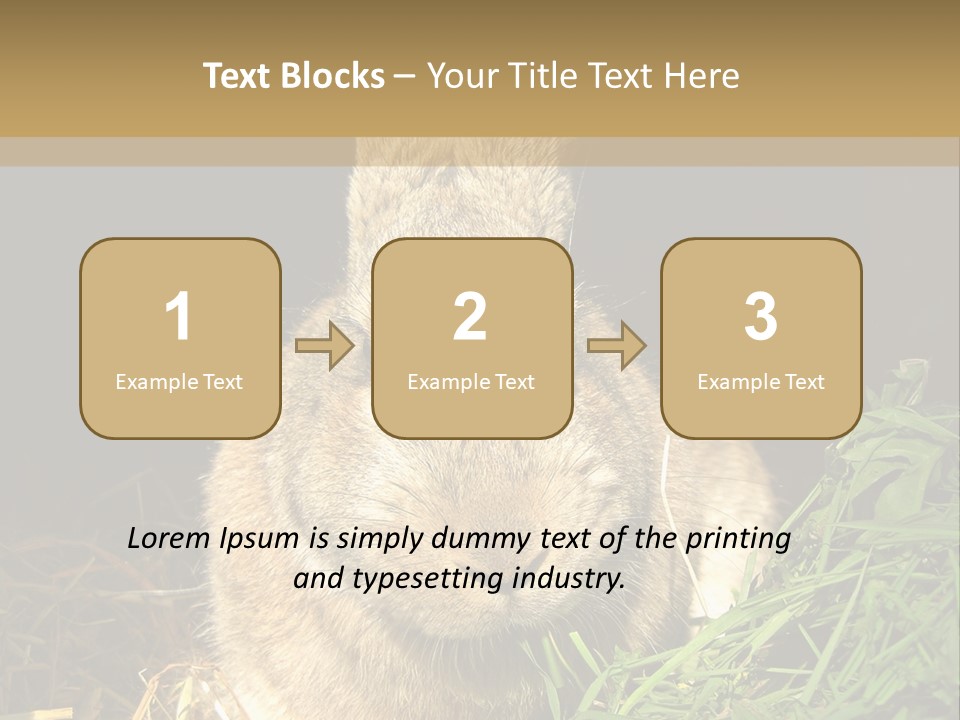 A Rabbit Is Eating Grass In The Dark PowerPoint Template