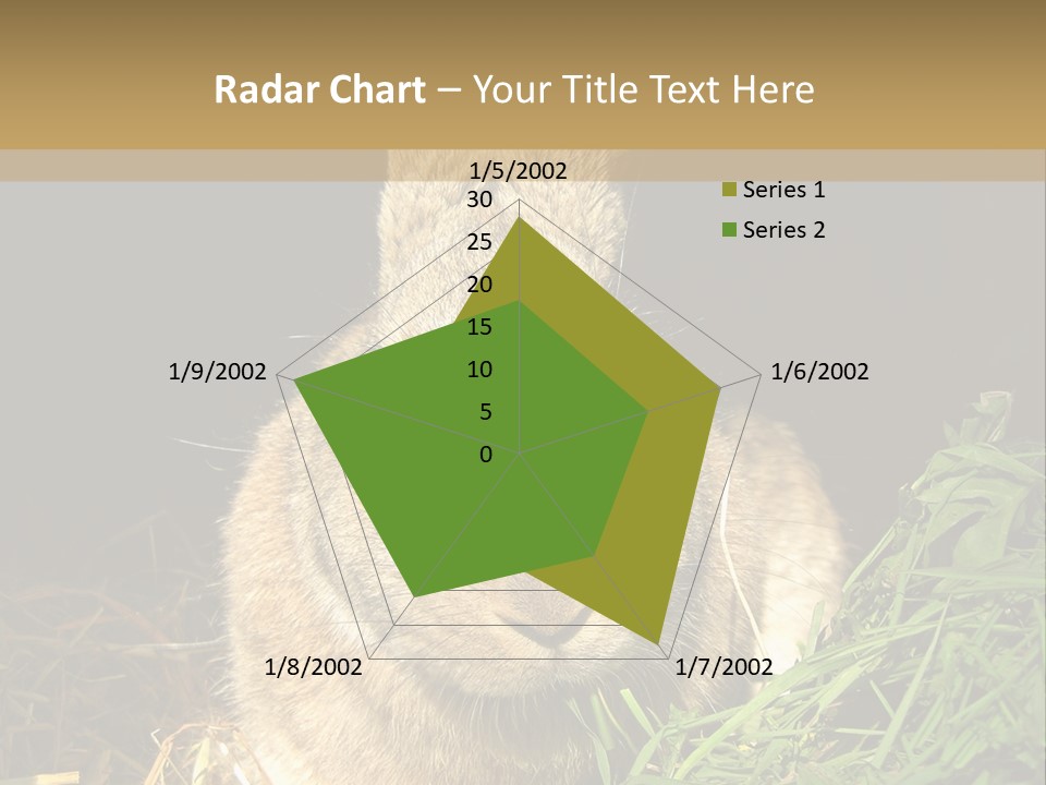 A Rabbit Is Eating Grass In The Dark PowerPoint Template