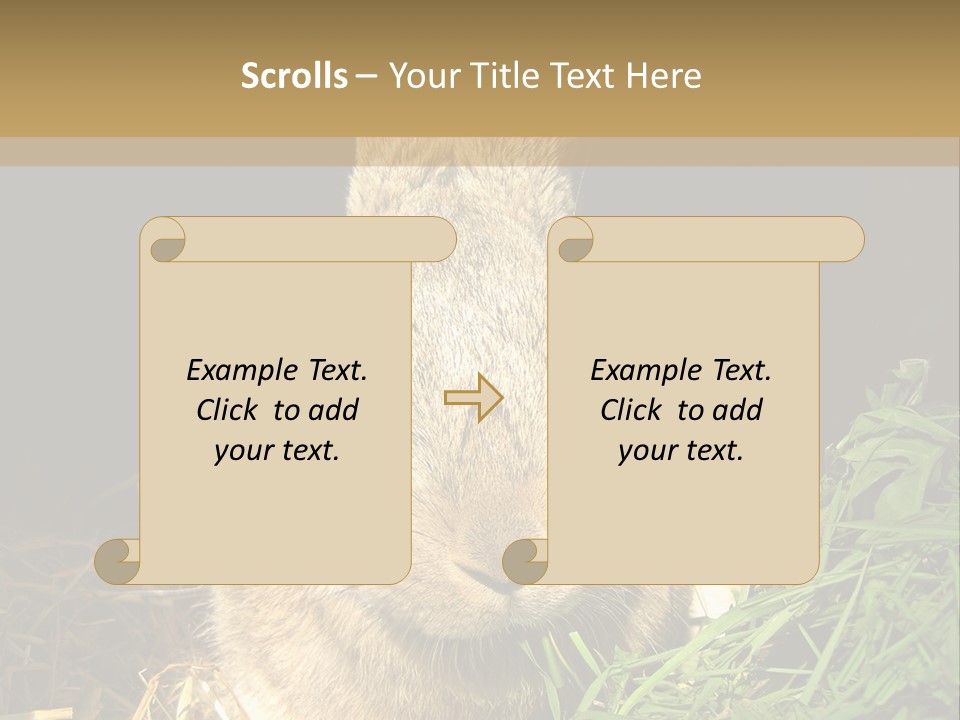 A Rabbit Is Eating Grass In The Dark PowerPoint Template
