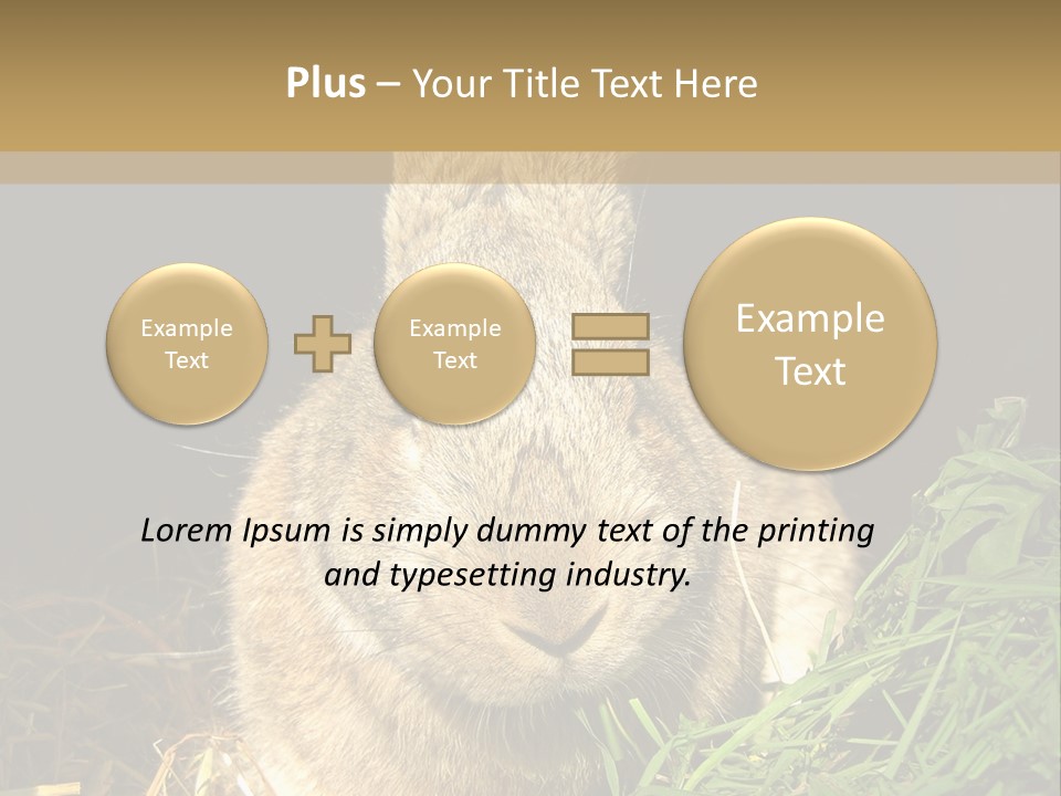 A Rabbit Is Eating Grass In The Dark PowerPoint Template
