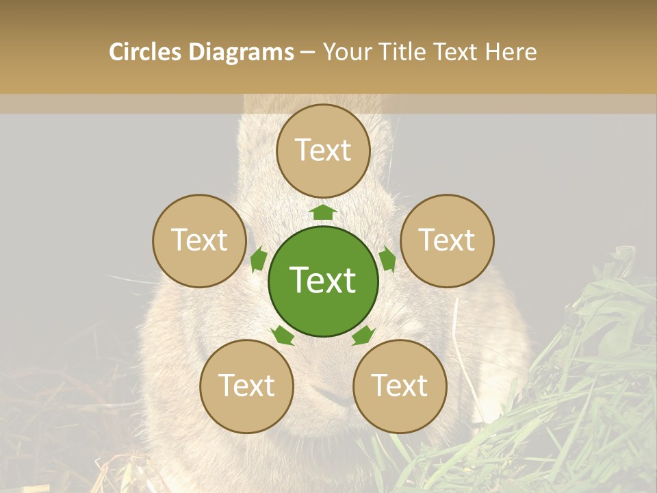 A Rabbit Is Eating Grass In The Dark PowerPoint Template